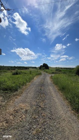 Teren de 600 mp, în Viile Satu Mare