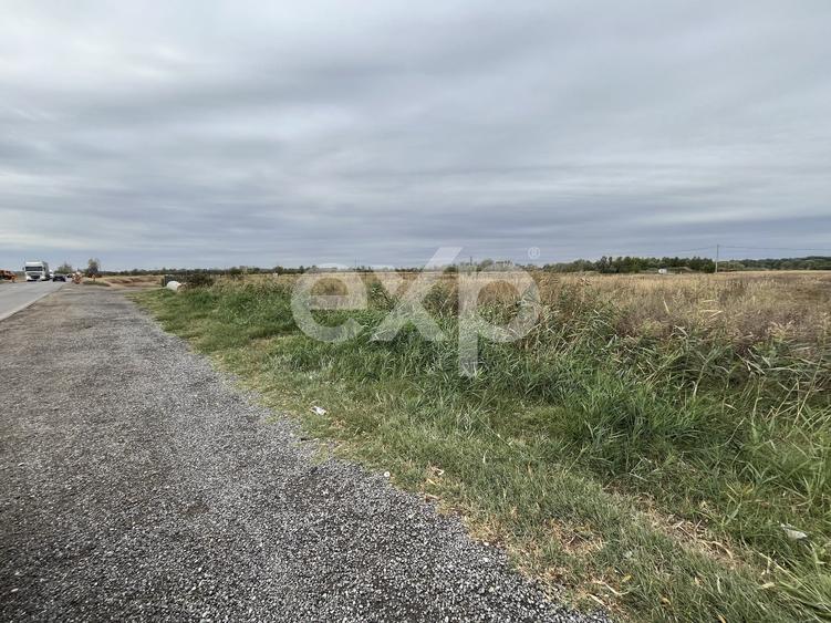 Teren Construcții intravilan de 15000 mp, în Găești