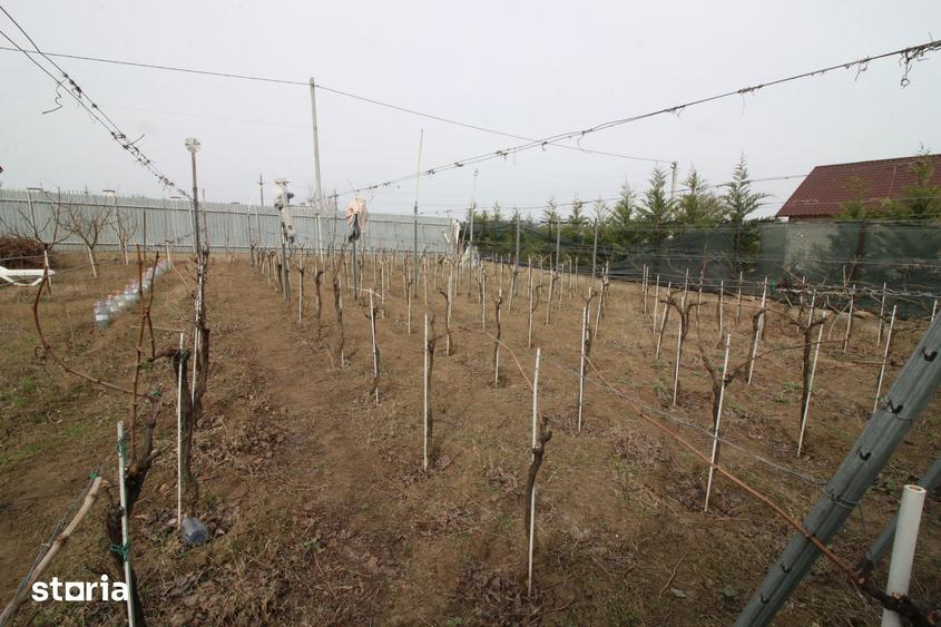 Vila D+P+M Sat Costi ( Floricultura) cu bransamente la utilitati - 1