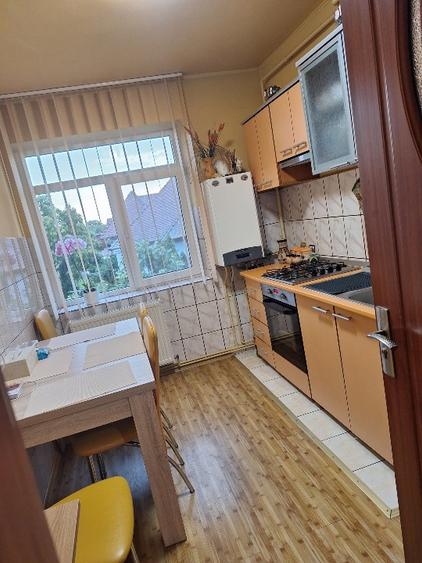 Apartament cu 2 camere, decomandat,  ultracentral - 8