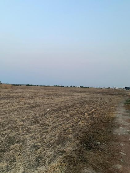 Teren agricol intravilan de 4000 mp, în Dimieni