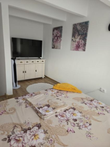 Apartament cu 2 camere decomandat în Viilor
