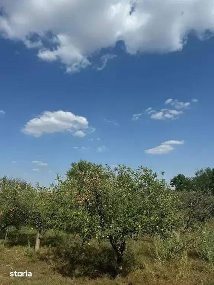 Casă cu 5 camere cu Canalizare în Ion Roată