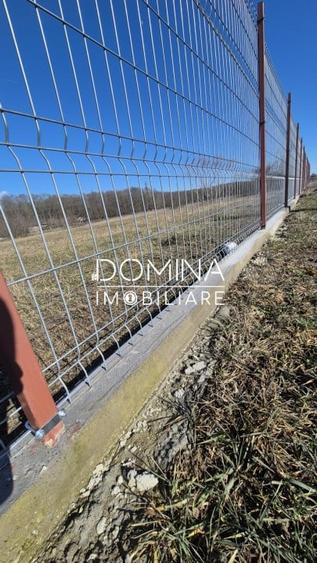 Teren Construcții intravilan de 1184 mp, în Drăguțești