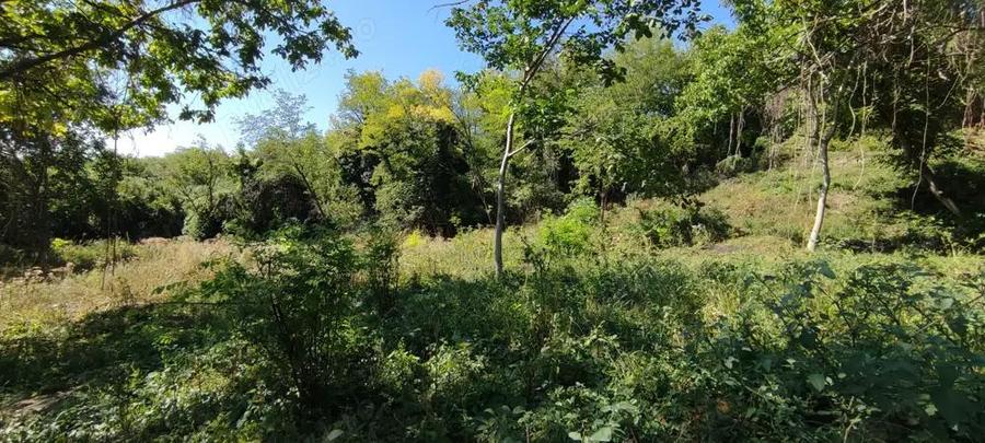 Teren de 4786 mp, în Jugureni