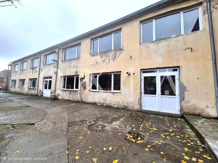 Spațiu industrial, de 160 mp, în Elisabetin