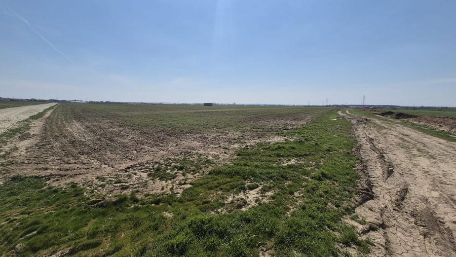 Teren Construcții intravilan de 9545 mp, în Berceni