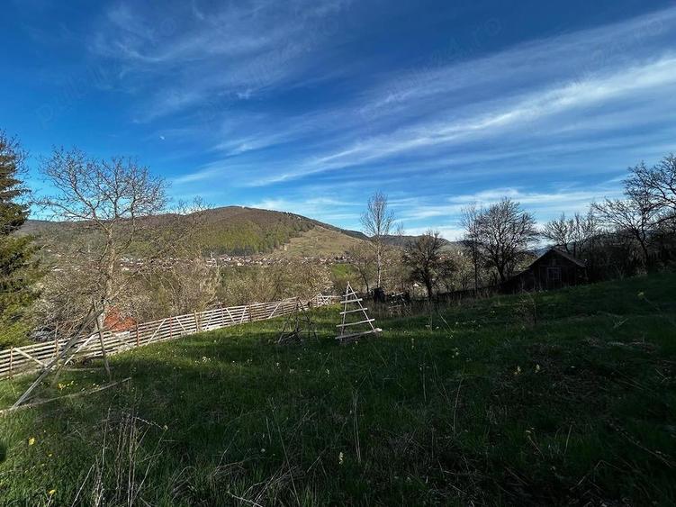Teren de 2500 mp, în Trăisteni