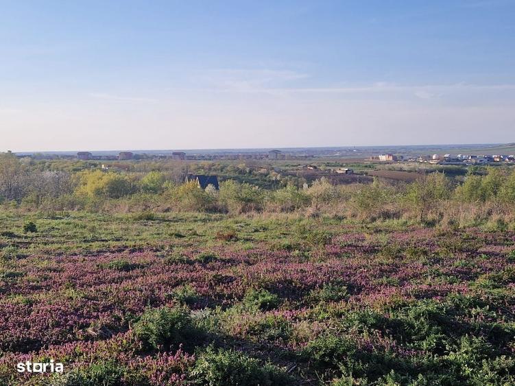 Teren de 3100 mp, în Paleu