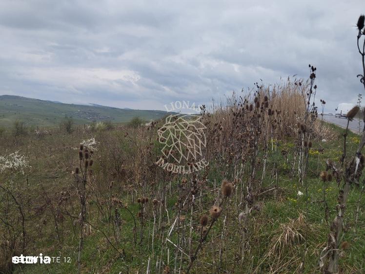 Teren de 2100 mp, în Șieu