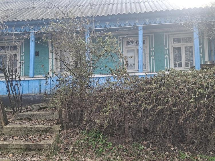 Casă cu Teren 2600 Mp în Perieni