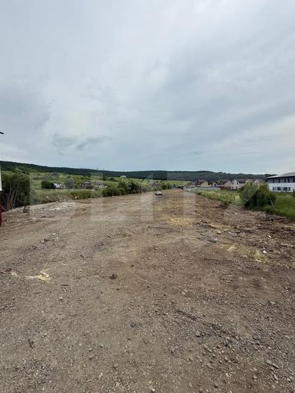 Teren Construcții intravilan de 4992 mp, în Livezeni