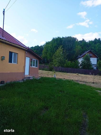 Casă cu 3 camere cu Teren 3000 Mp în Central