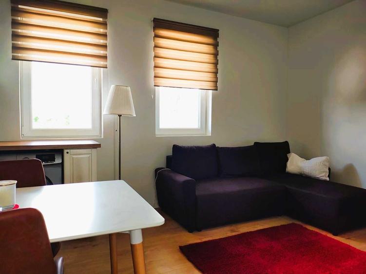 Apartament cu 2 camere semidecomandat în Tunari