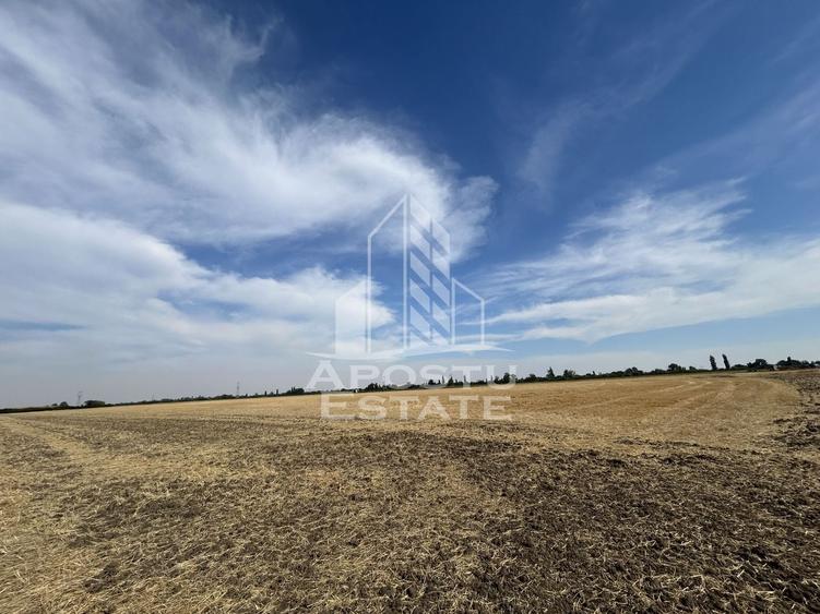 Teren Construcții intravilan de 20600 mp, în Sânmihaiu Român