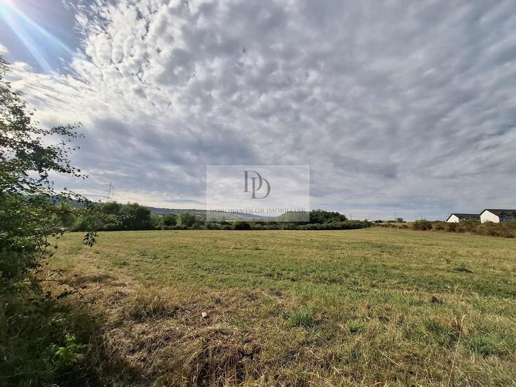 Teren Construcții intravilan de 37976 mp, în Bună Ziua