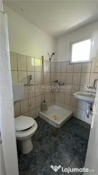 Casă cu 9 camere cu Teren 256 Mp în Geoagiu-Băi