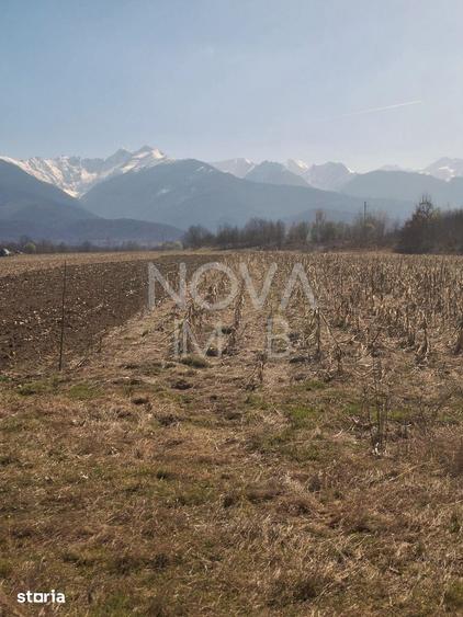 Teren de 2100 mp, în Central