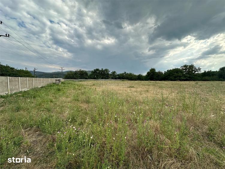 Spațiu comercial, de 8,500 mp, în Central