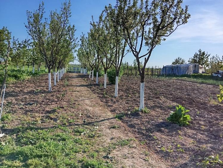 Casă individuală cu 4 camere cu Teren 6200 Mp în Moara Mocanului