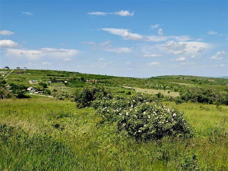 Teren Construcții intravilan de 800 mp, în Tomești