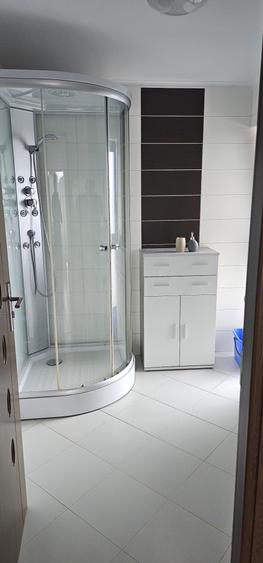Apartament cu 2 camere decomandat în Dosu Bricii