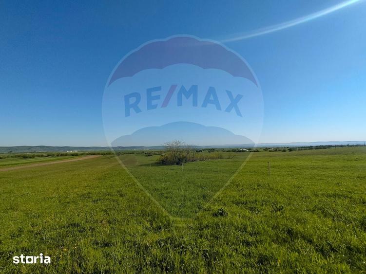 Teren de 1668 mp, în Gura Râului