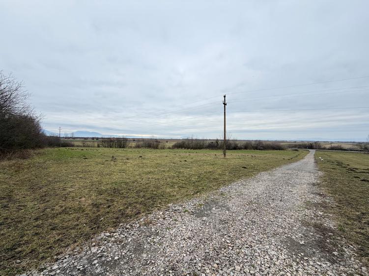 Teren extravilan de 1500 mp, în Teliu