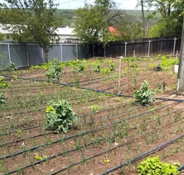 Casă cu 4 camere cu Teren 1036 Mp în Odaia Manolache