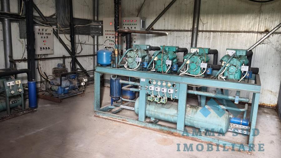 Spațiu industrial, de 1,000 mp, în Popești-Leordeni