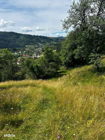 Teren de 5833 mp, în Bistra