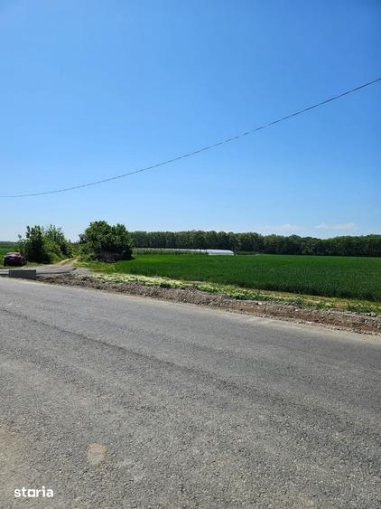 Teren de 17714 mp, în Periș
