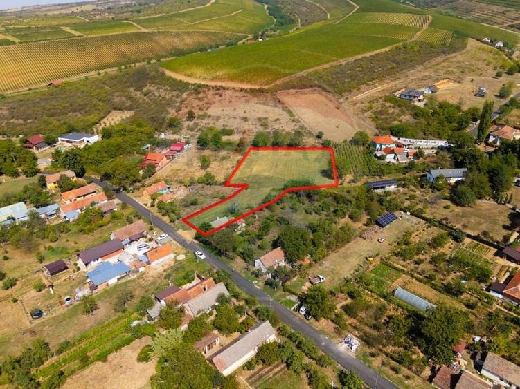 Teren Construcții intravilan de 4184 mp, în Miniș