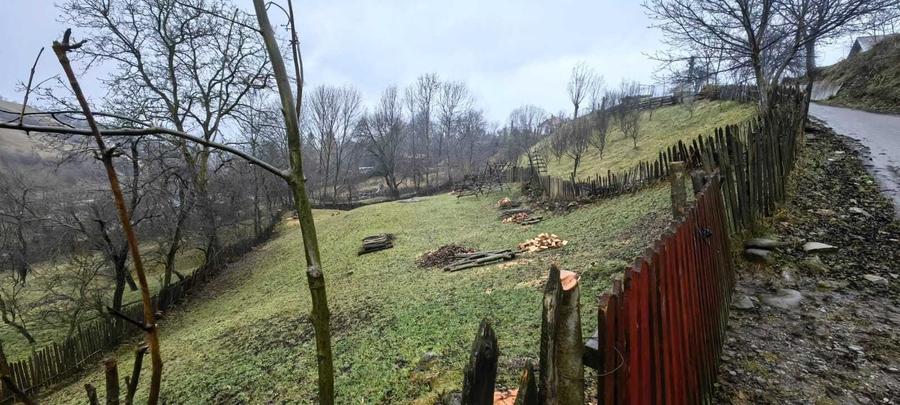 Teren intravilan Valea Doftanei - Malul Negrasului - 3