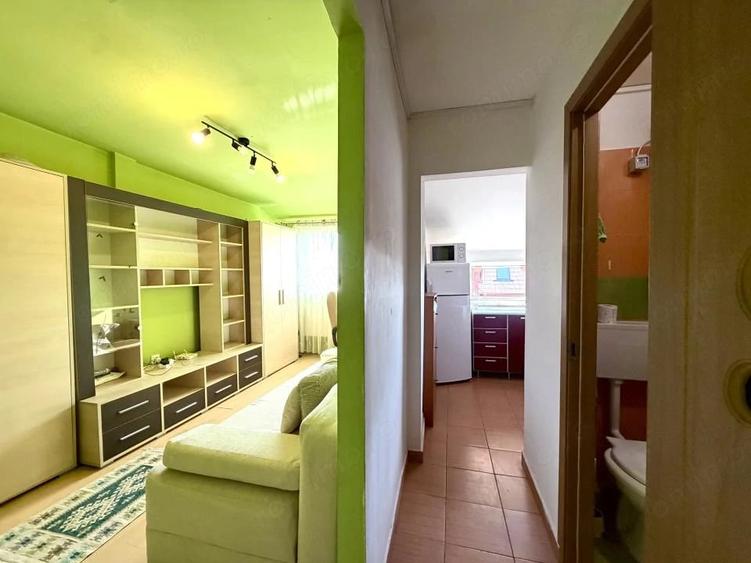Garsoniera 20 mp utili, ideal pentru investitie, etajul 5/5 - zona Lipovei - 1