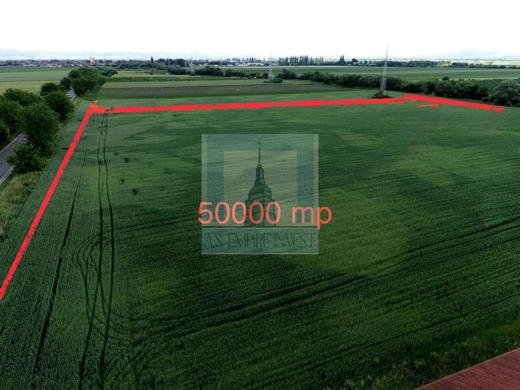 Teren Construcții intravilan de 50000 mp, în Hălchiu