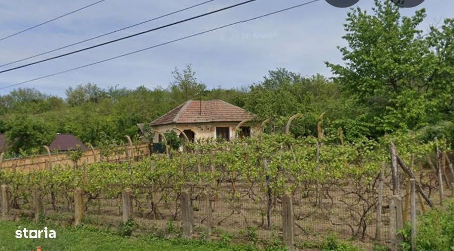 Casă cu 2 camere în Ungureni