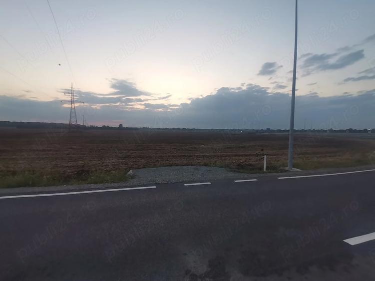 Teren de 6000 mp, în Brănești