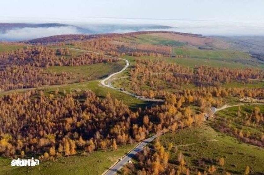 Teren de 1050 mp, în Ciurila