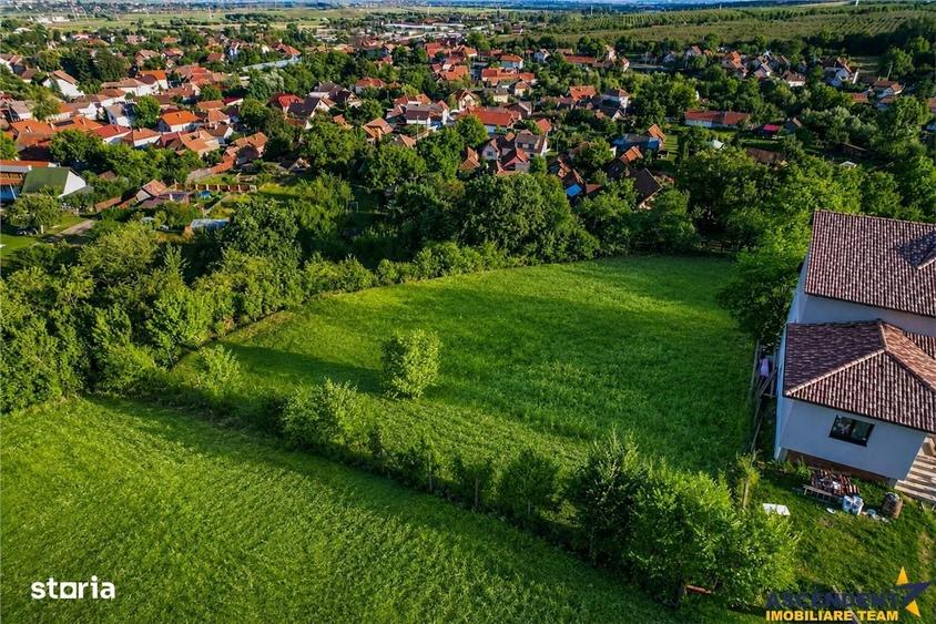 Teren intravilan, cu panorama superba, in Sfantu Gheorghe, Covasna - 6