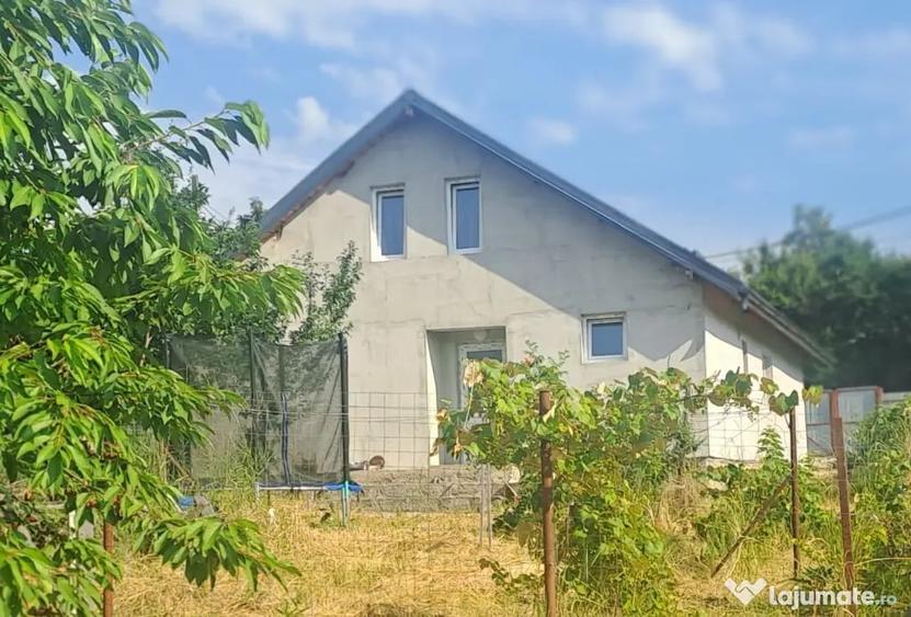 Casă cu 5 camere în Băiceni