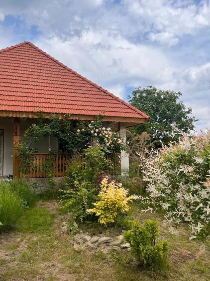 Casă cu 4 camere cu Teren 1415 Mp în Drajna
