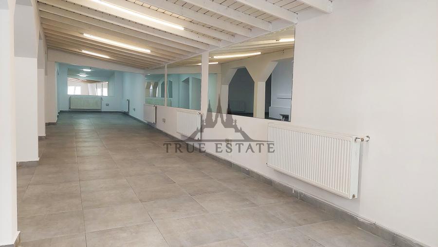 Casă individuală cu 9 camere cu Canalizare în Eminescu