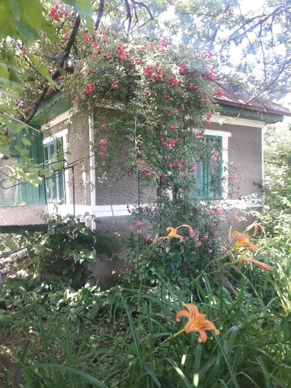 Casă cu 2 camere în Central