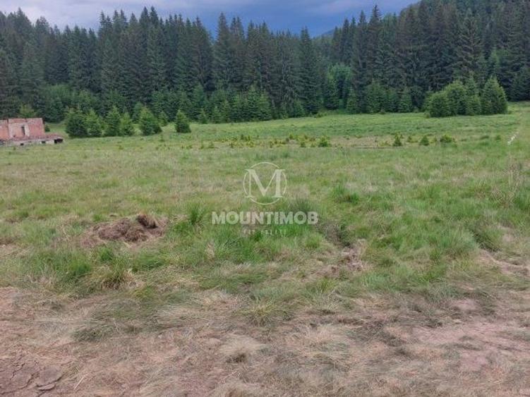 Teren Construcții intravilan de 4698 mp, în Poiana Brașov