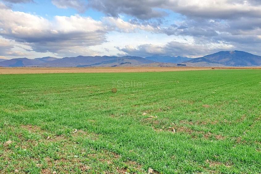 Teren agricol extravilan de 8400 mp, în Tărlungeni