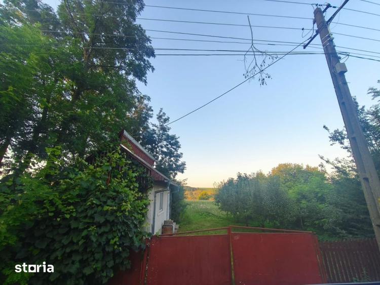 Casa individuala, 3500mp teren, zona Negostina, Siret - 6