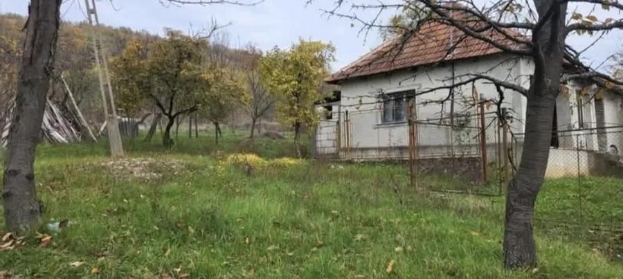 Casă cu 2 camere în Târnăvița