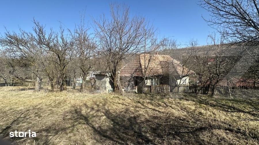 Teren de 1700 mp, în Feleacu