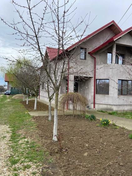Casă cu 4 camere în Ulmi